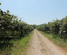 elanlari alqi satqisi elanlari Lənkəran ş.