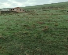 Satılır Torpaq Hökməli, Abşeron r.