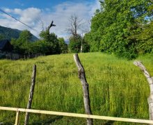 qebelede torpaq alqi satqisi Qəbələ ş.