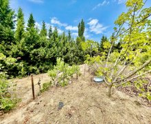 rayonlarda torpaq alqi satqisi Goradil, Abşeron r.