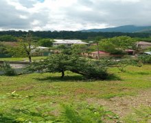 Satılır Torpaq Qəbələ ş.