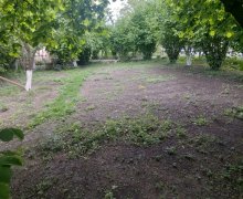 ismayillida torpaq alqi satqisi İsmayıllı ş.