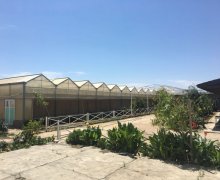 Satılır Obyekt Türkan, Xəzər r.