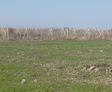 elanlari alqi satqisi elanlari Cəlilabad ş.