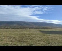 Satılır Torpaq Zaqatala ş.