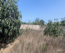 Satılır Torpaq Fatmayi, Abşeron r. Satılır Torpaq Fatmayi, Abşeron r.