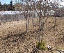 bag evleri proyektleri Nardaran qəs., Sabunçu r.