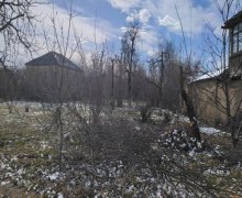 Satılır Torpaq Qusar ş.