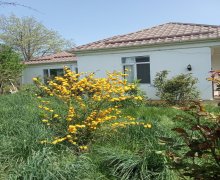 Kirayə (günlük) Bağ evi Qusar ş.