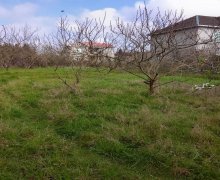 Продажа Участок Ленкорань г.