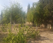 Satılır Torpaq Buzovna, Xəzər r.