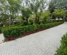 hezi aslanovda yeni tikililer Həzi Aslanov m., Xətai r.