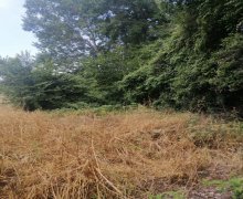 elanlari alqi satqisi elanlari Xaçmaz / Nabran ş.