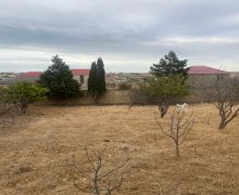 rayonlarda torpaq alqi satqisi Fatmayi, Abşeron r.