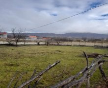 Satılır Torpaq Qəbələ ş.