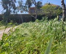 Satılır Bağ evi Koroğlu m., Sabunçu r.