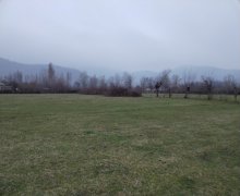 Satılır Torpaq Qəbələ ş.