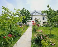 Kirayə (günlük) Həyət evi/villa Qəbələ ş.