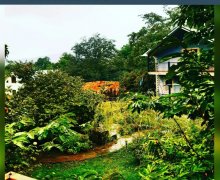 zaqatalada günlük ev elanlari/villa Zaqatala ş.