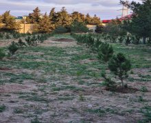 Продажа Участок Шювалан, Хязяр р.