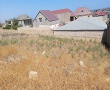 qurd deresi torpaq alqi satqisi Sumqayıt ş.