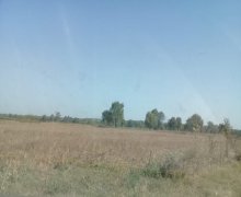 qurd deresi torpaq alqi satqisi Sumqayıt ş.