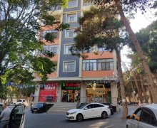 Kirayə (aylıq) Yeni Tikili Memar Əcəmi m., 5-ci mikrorayon, Nəsimi r.