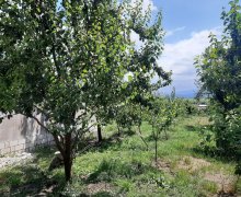 1 otaqli aylıq heyet evi kiraye/villa Quba ş. 1 otaqli aylıq heyet evi kiraye/villa Quba ş.