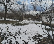 Satılır Torpaq Qəbələ ş.