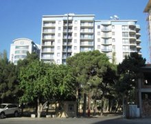 Kirayə (aylıq) Yeni Tikili Gənclik m., Nərimanov r.