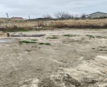 rayonlarda torpaq alqi satqisi Fatmayi, Abşeron r.