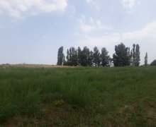 Satılır Torpaq Qusar ş.