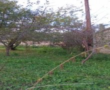 Satılır Torpaq Qəbələ ş.