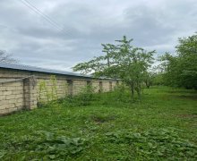 Satılır Torpaq Qəbələ ş.