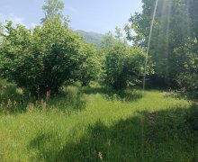 Satılır Torpaq Qəbələ ş.