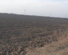 elanlari alqi satqisi elanlari Salyan ş.