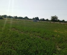 qebelede torpaq alqi satqisi Qəbələ ş.