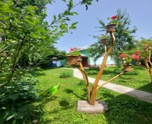 Kirayə (günlük) Həyət evi/villa Qəbələ ş.