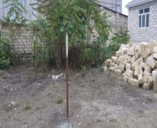 Satılır Torpaq Qusar ş.