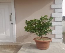 Satılır Həyət evi/villa Xətai r.