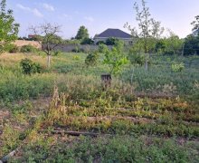 mastagada torpaq alqi satqisi Maştağa qəs., Sabunçu r.