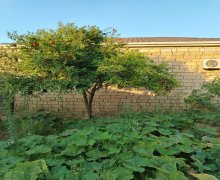 Satılır Həyət evi/villa Fatmayi, Abşeron r.