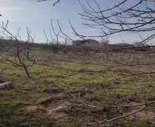 rayonlarda torpaq alqi satqisi Goradil, Abşeron r.