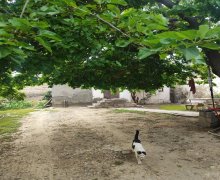 Satılır Həyət evi/villa 20 Yanvar m., Biləcəri qəs., Binəqədi r. Satılır Həyət evi/villa 20 Yanvar m., Biləcəri qəs., Binəqədi r.