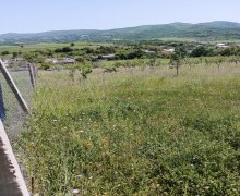 Satılır Həyət evi/villa İsmayıllı ş.