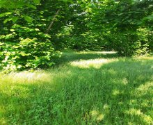 Satılır Torpaq Qəbələ ş.