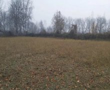 qebelede torpaq alqi satqisi Qəbələ ş.