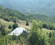 elanlari alqi satqisi elanlari Şamaxı ş.