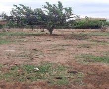 Satılır Torpaq Sumqayıt ş. Satılır Torpaq Sumqayıt ş.