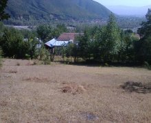 elanlari alqi satqisi elanlari Şəki ş.